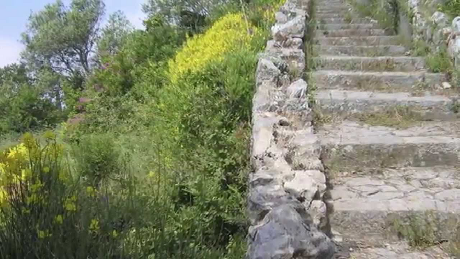 Unternehmensvideo Bestattungen Fraund / Amelung in Wiesbaden